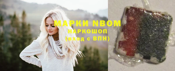 гидропоника Аша