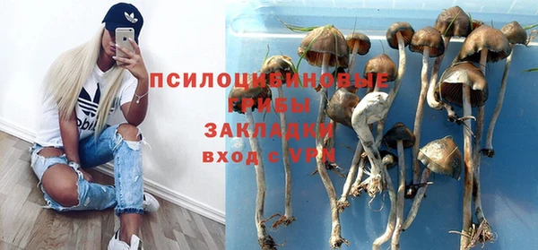 дмт Михайлов